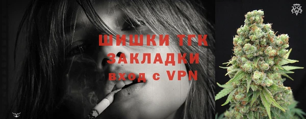 прущий лед Вяземский