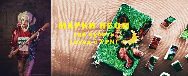 прущий лед Вяземский