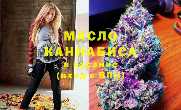прущий лед Вяземский