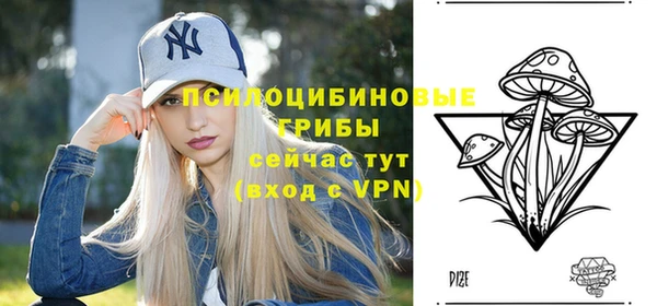 прущий лед Вяземский